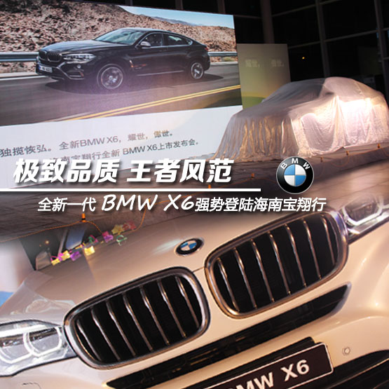 新BMW X6登陆宝翔行